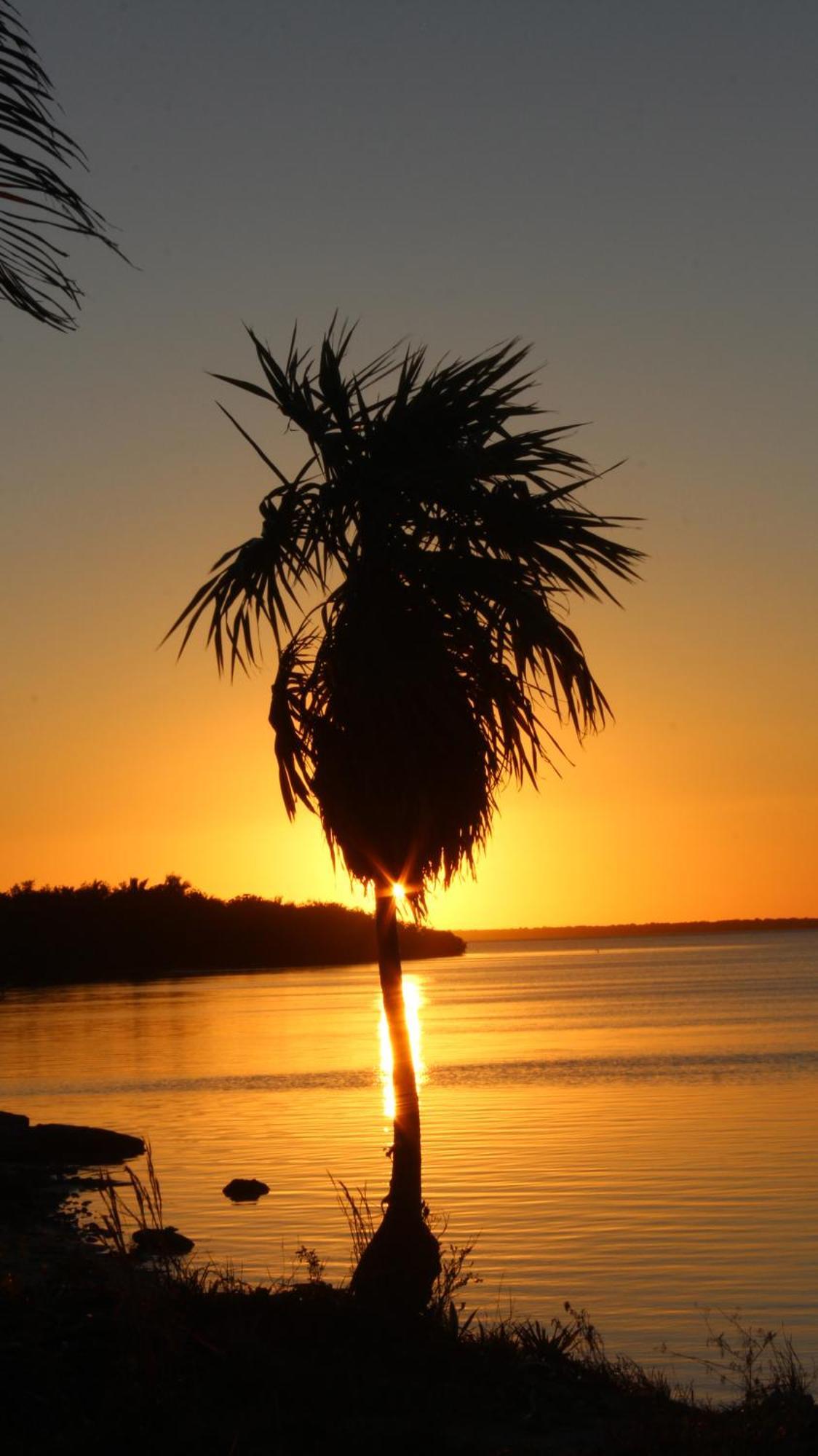 Ikarus Costa Mujeres Eco Lodge Sunset View Канкун Экстерьер фото