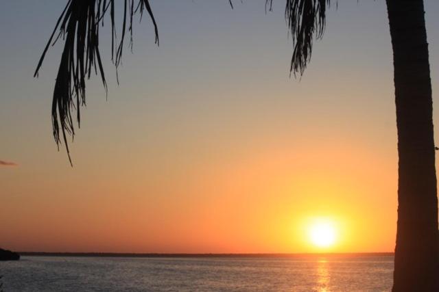 Ikarus Costa Mujeres Eco Lodge Sunset View Канкун Экстерьер фото